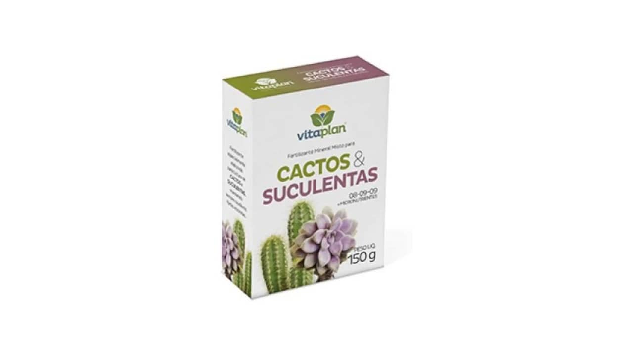 Melhor Adubo para Plantas Suculentas: Nutrição Essencial!