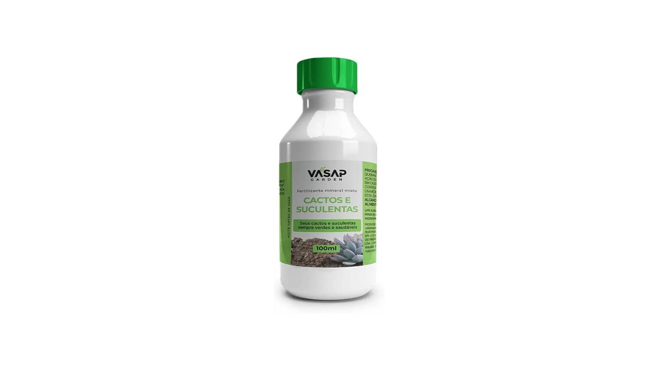 Melhor Adubo para Suculentas e Cactos: Guia Essencial