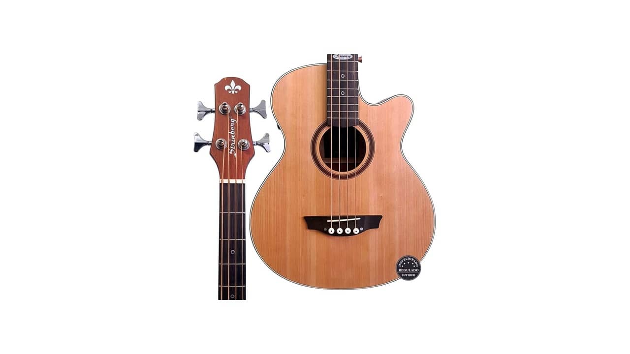 Melhor Baixolão: 5 Modelos Essenciais Para Músicos