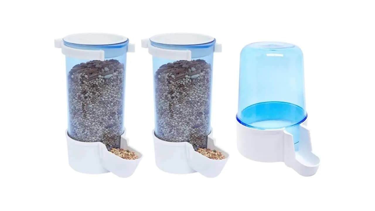 Melhor Bebedouro para Calopsita: Guia Completo
