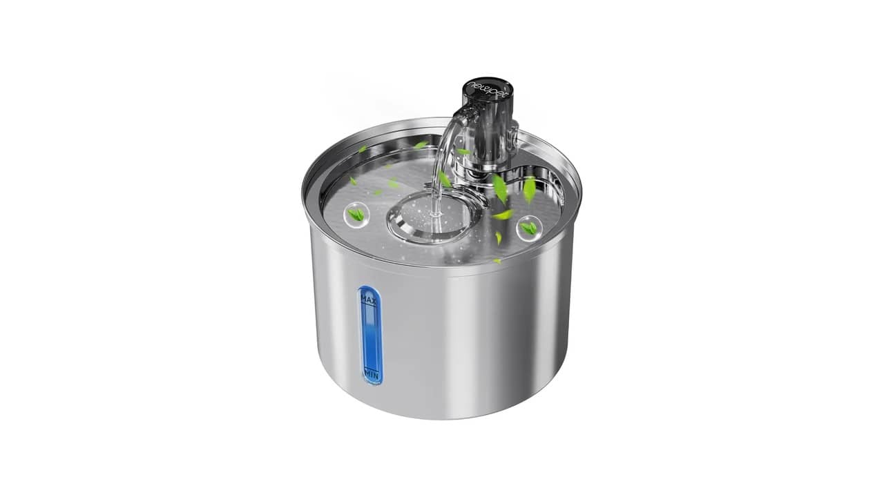 Melhor Bebedouro para Gato: 10 Modelos com Filtro