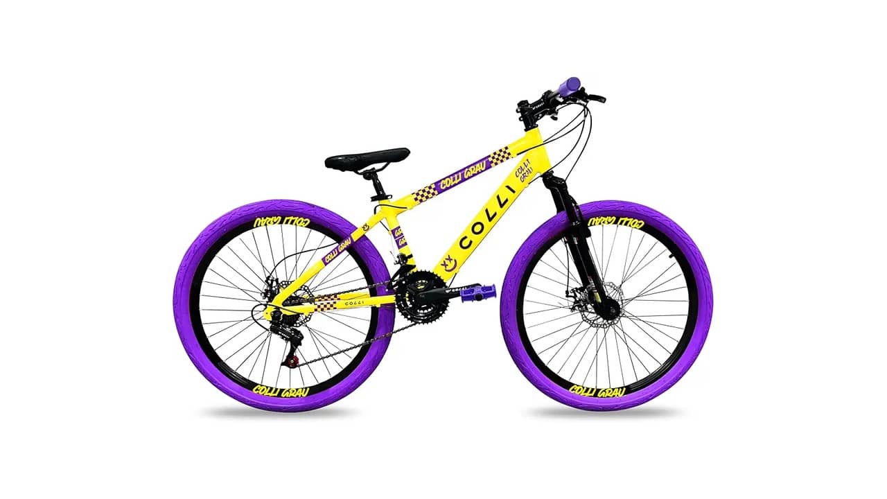 Melhor Bicicleta para dar Grau Barata: 7 Opções Acessíveis