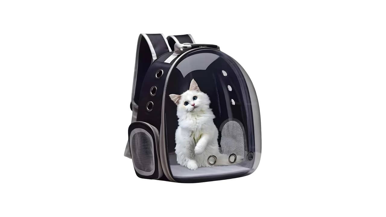 Melhor Bolsa de Transporte para Gato e Cachorro: 10 Modelos Versáteis
