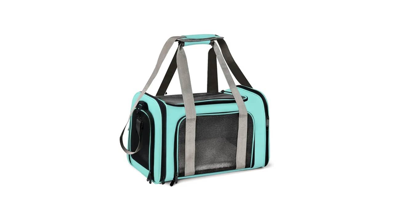 Melhor Bolsa de Transporte para Gatos: Guia Completo