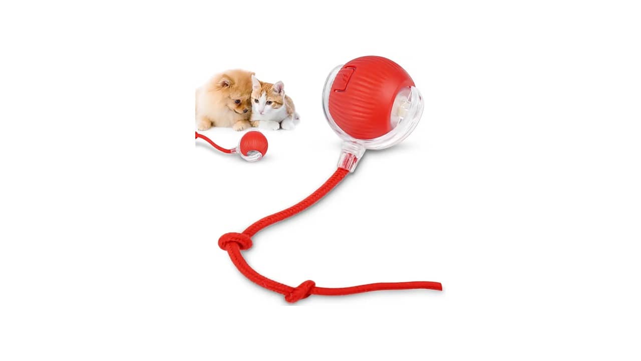 Melhor Brinquedo de Gato: 10 Opções para Estimular o Instinto