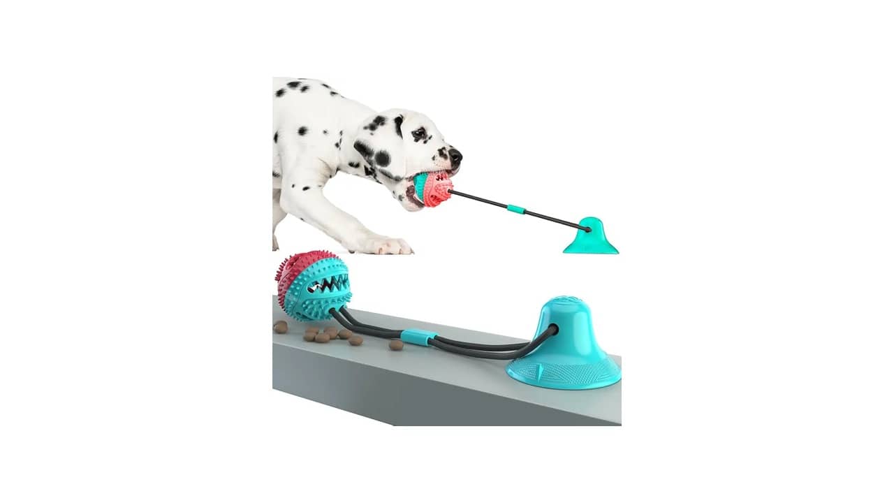 Melhor Brinquedo para Cachorro que Fica Sozinho: 10 Opções