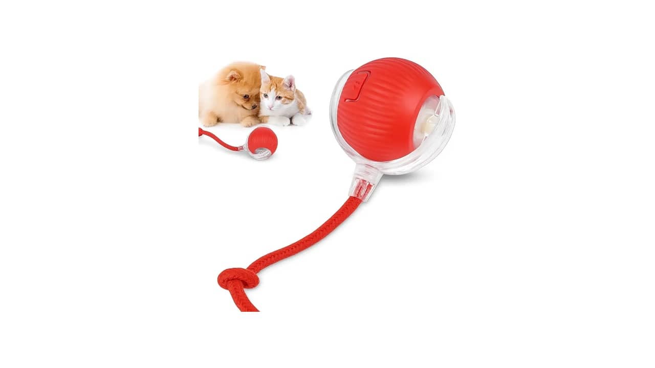 Melhor Brinquedo para Cachorro: Guia Completo