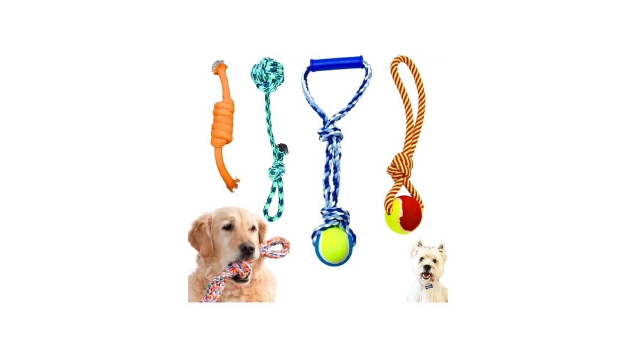 Melhor Brinquedo para Filhote Morder: Guia Essencial