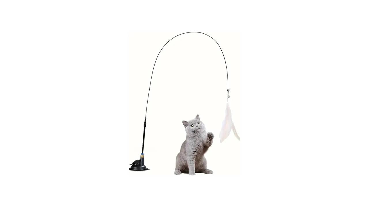 Melhor Brinquedo para Gato Filhote: Guia Completo Para Diversão e Desenvolvimento
