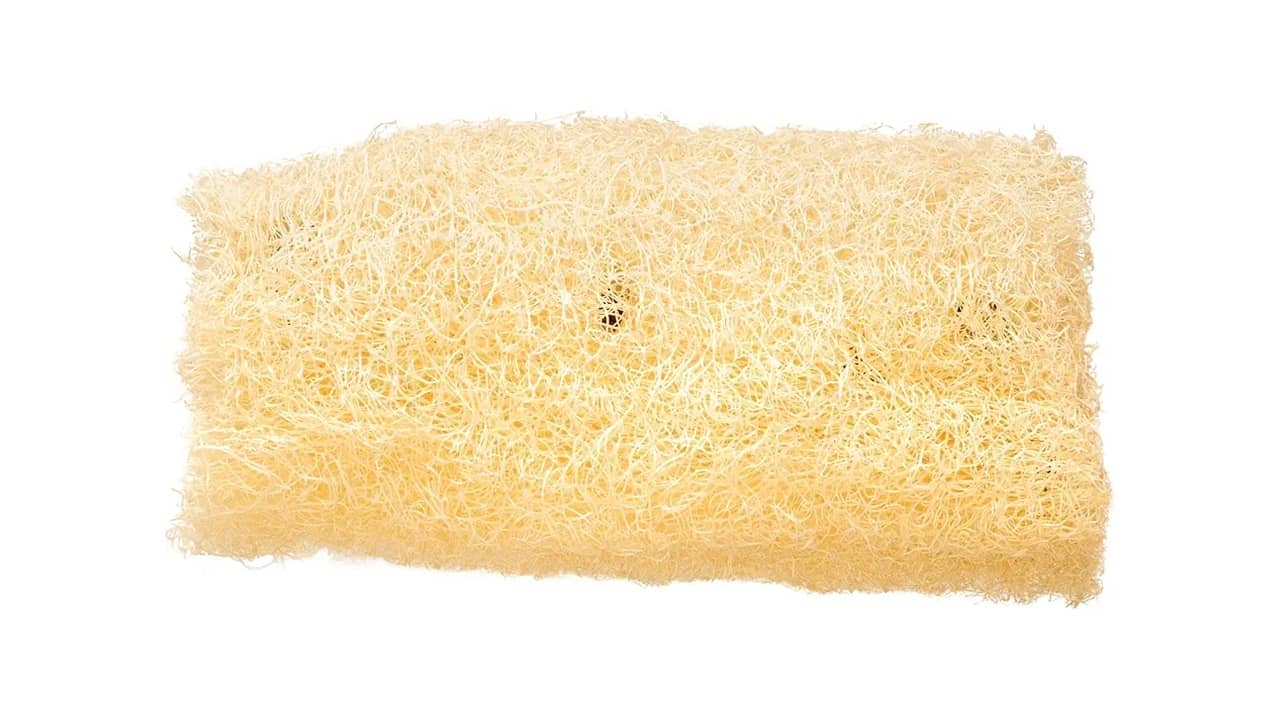 Melhor Bucha Vegetal: 10 Modelos Sustentáveis