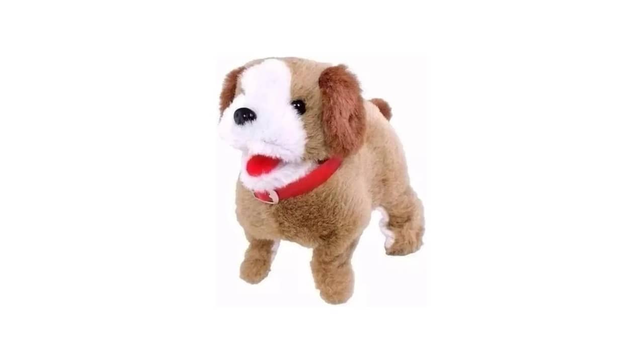 Melhor Cachorro para Cuidar da Casa: Guia Essencial