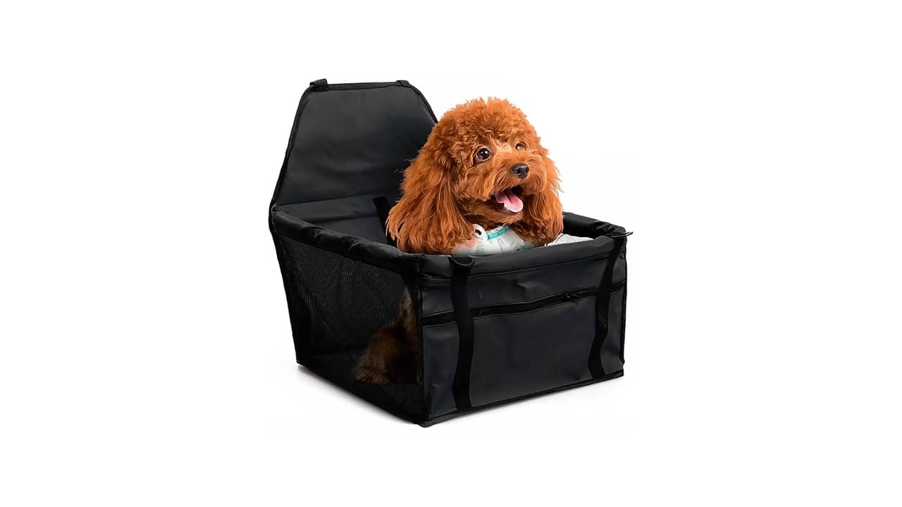 Melhor Cadeirinha para Cachorro: Guia de Compra Essencial