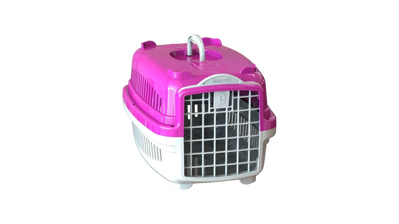 Melhor Caixa de Transporte para Gatos: Guia Completo