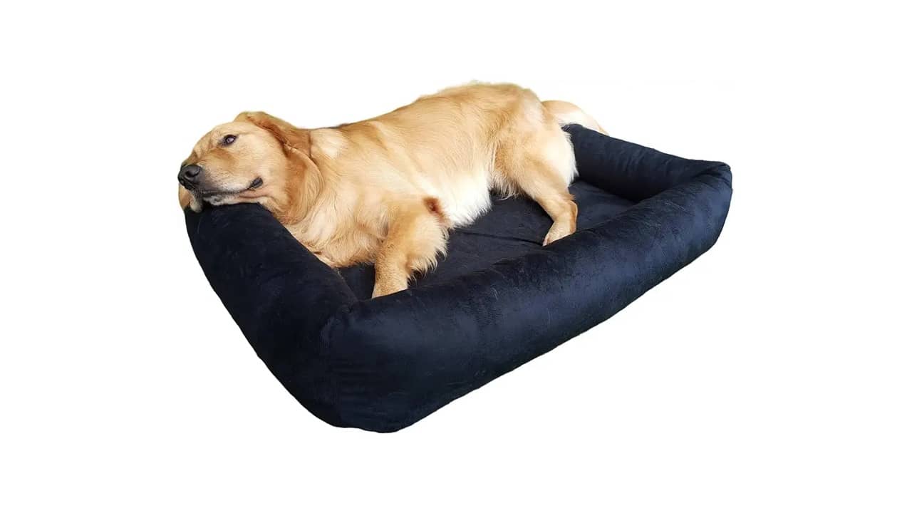 Melhor Cama para Cachorro Grande: Conforto e Durabilidade