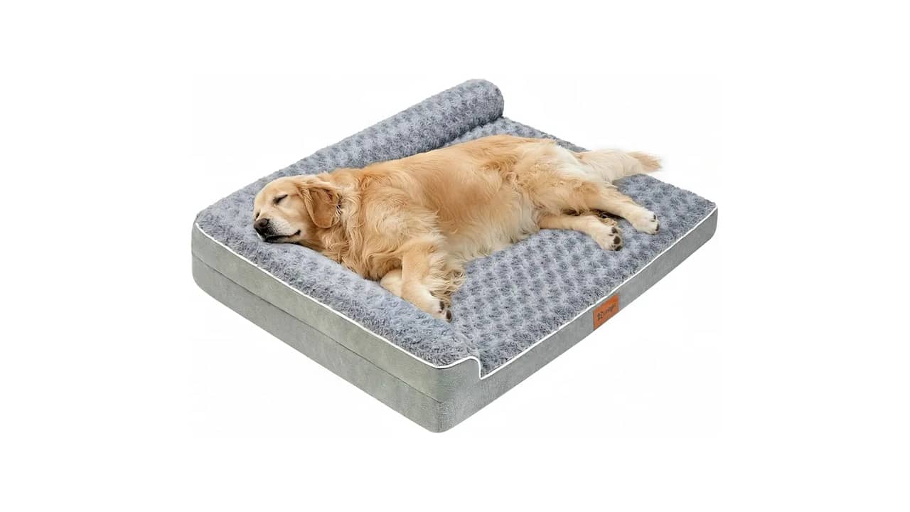 Melhor Cama para Cachorro Idoso: Conforto e Suporte Essenciais