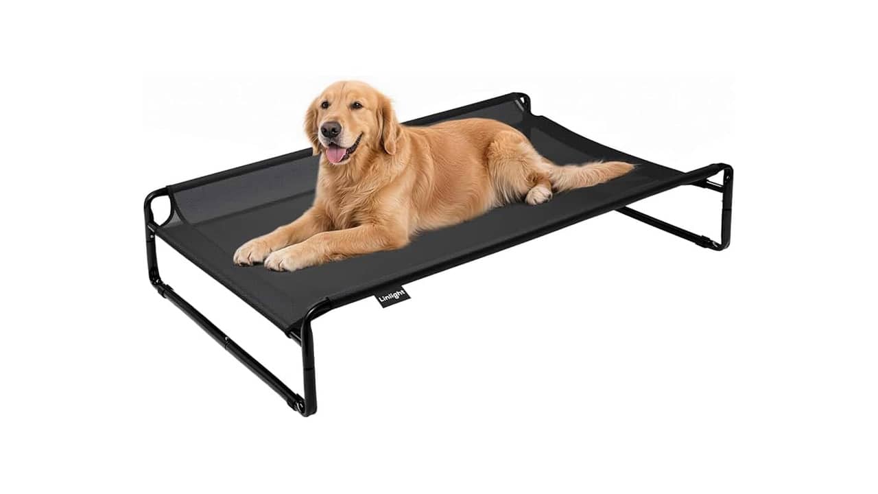 Melhor Cama Suspensa para Cachorro: Guia Completo e Reviews