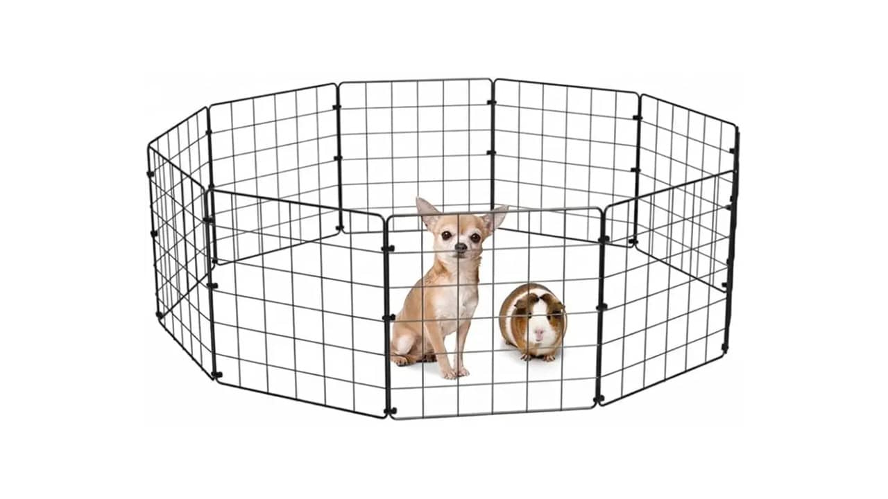 Melhor Cercado para Cachorro: 10 Modelos Portáteis