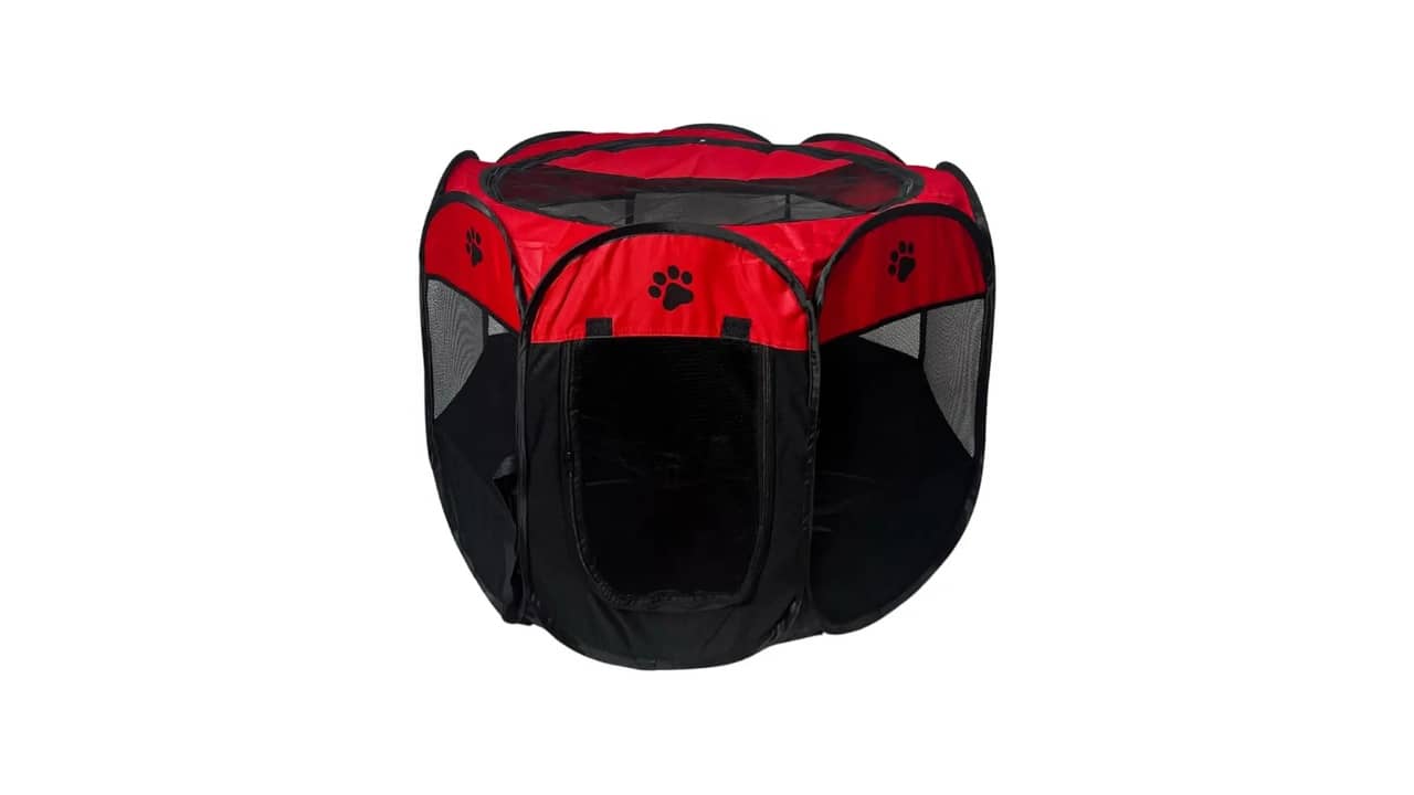 Melhor Cercado para Gato: 10 Modelos para Segurança