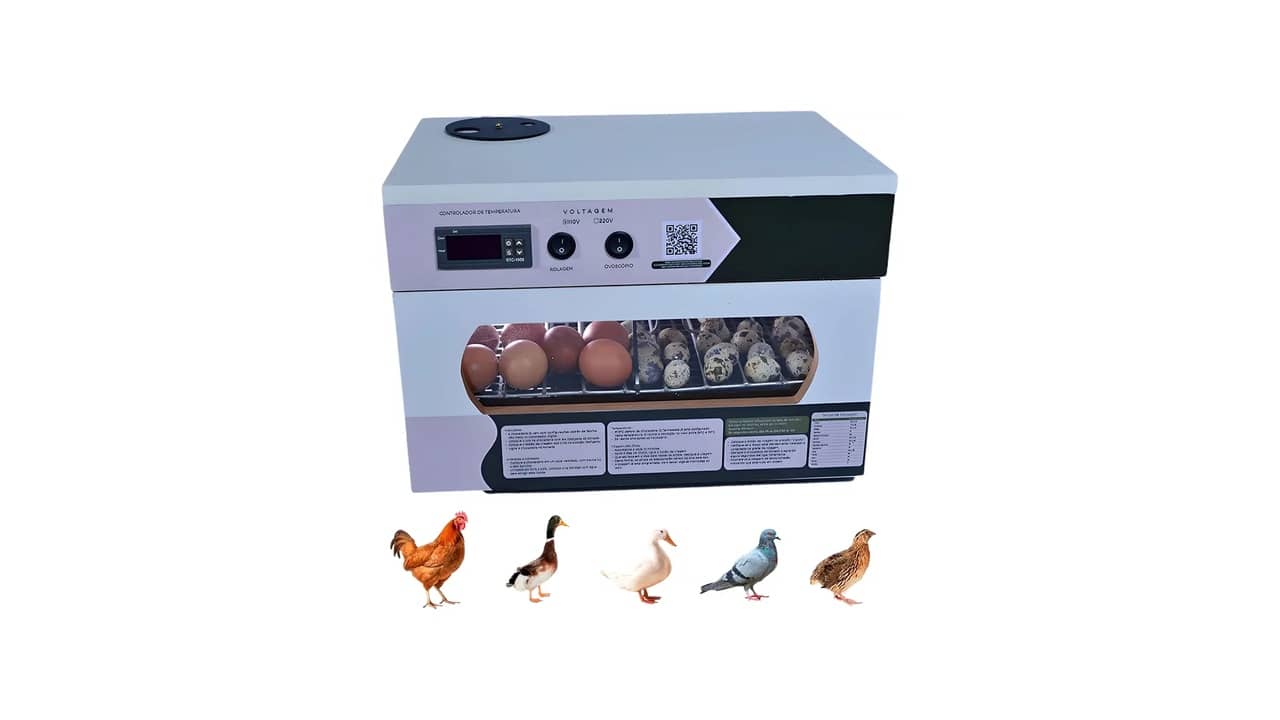 Melhor Chocadeira de Ovos: Guia Completo 2024