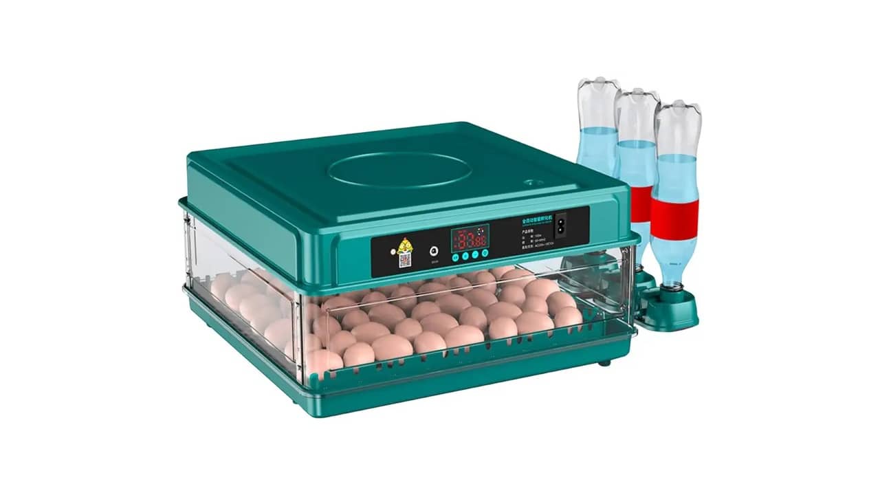 Melhor Chocadeira do Brasil: Guia Completo para Sua Escolha