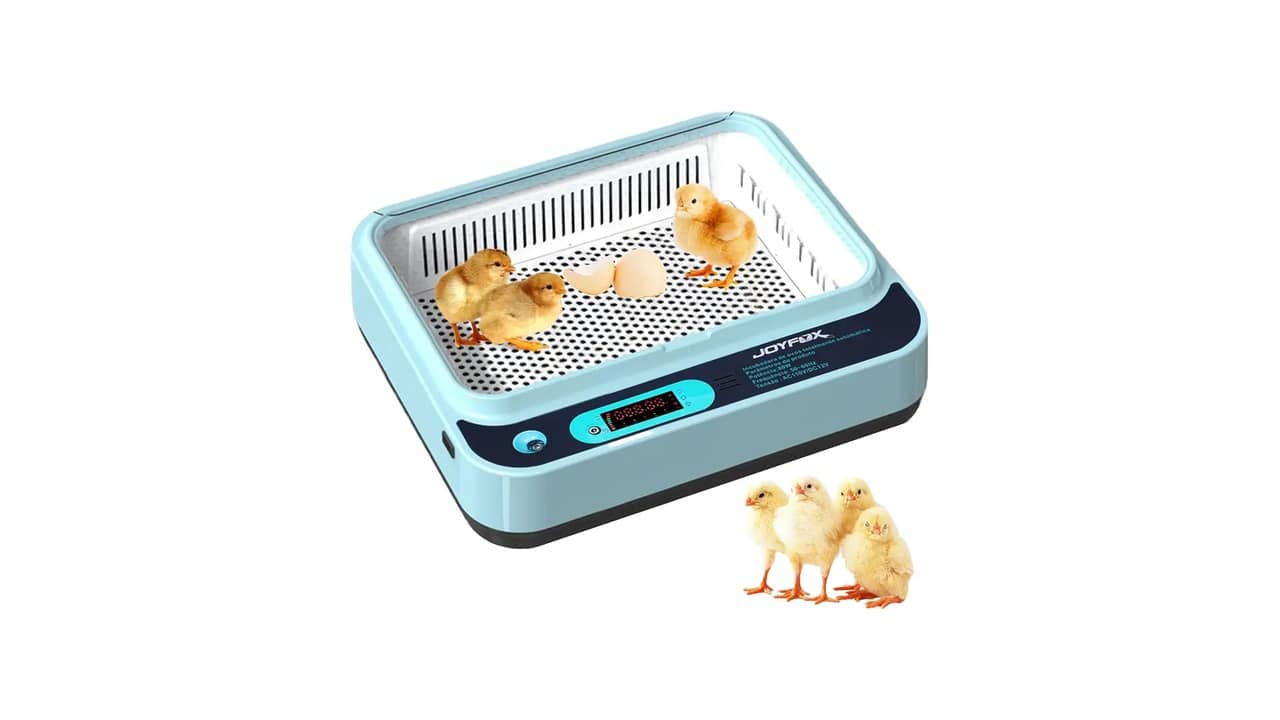 Melhor Chocadeira Incubadora de Ovo: 10 Modelos Top