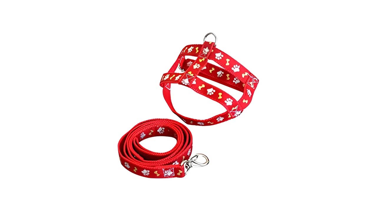 Melhor Coleira para Cachorro Filhote: Guia Essencial de Compra