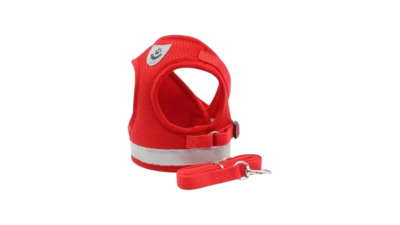 Melhor Coleira para Cachorro Pequeno: Guia de Compra Essencial