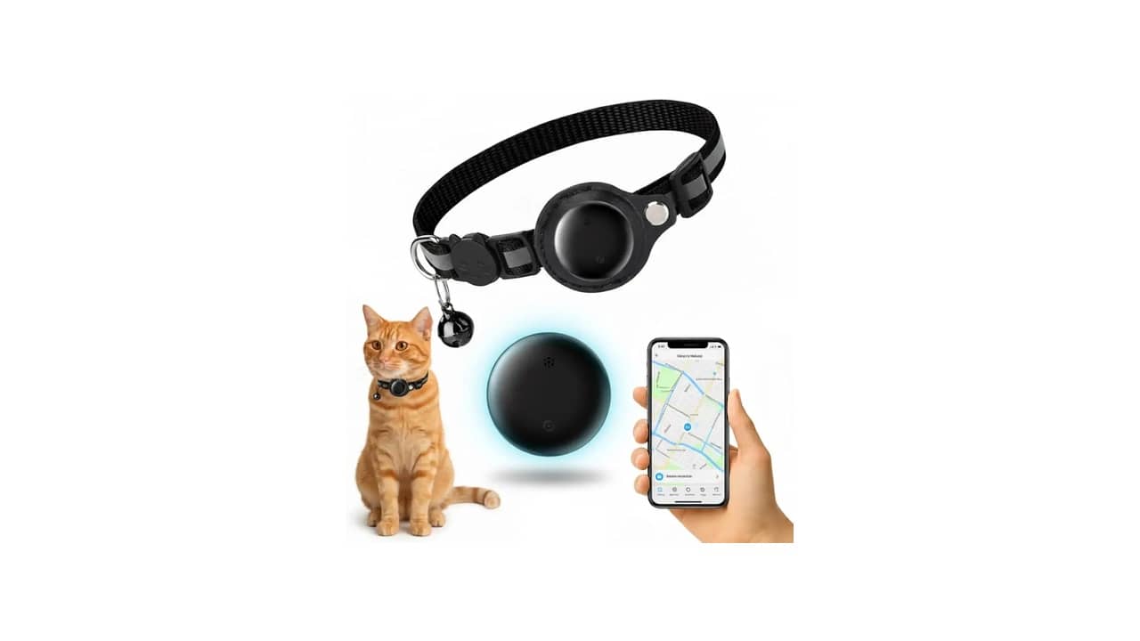 Melhor Coleira Rastreadora para Gatos: Guia Essencial