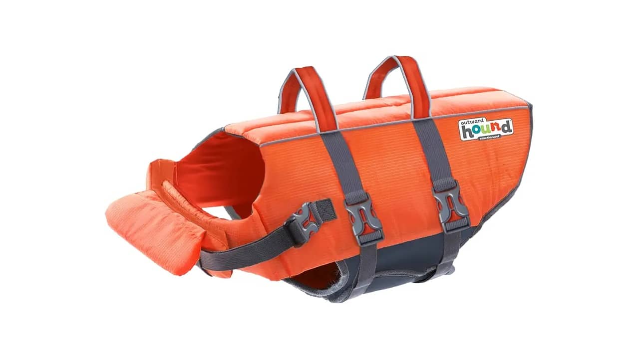 Melhor Colete Salva Vidas para Cachorro: Guia Completo