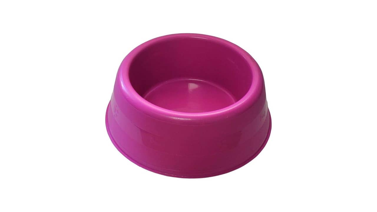 Melhor Comedouro para Pug: Guia Completo e Escolhas Ideais
