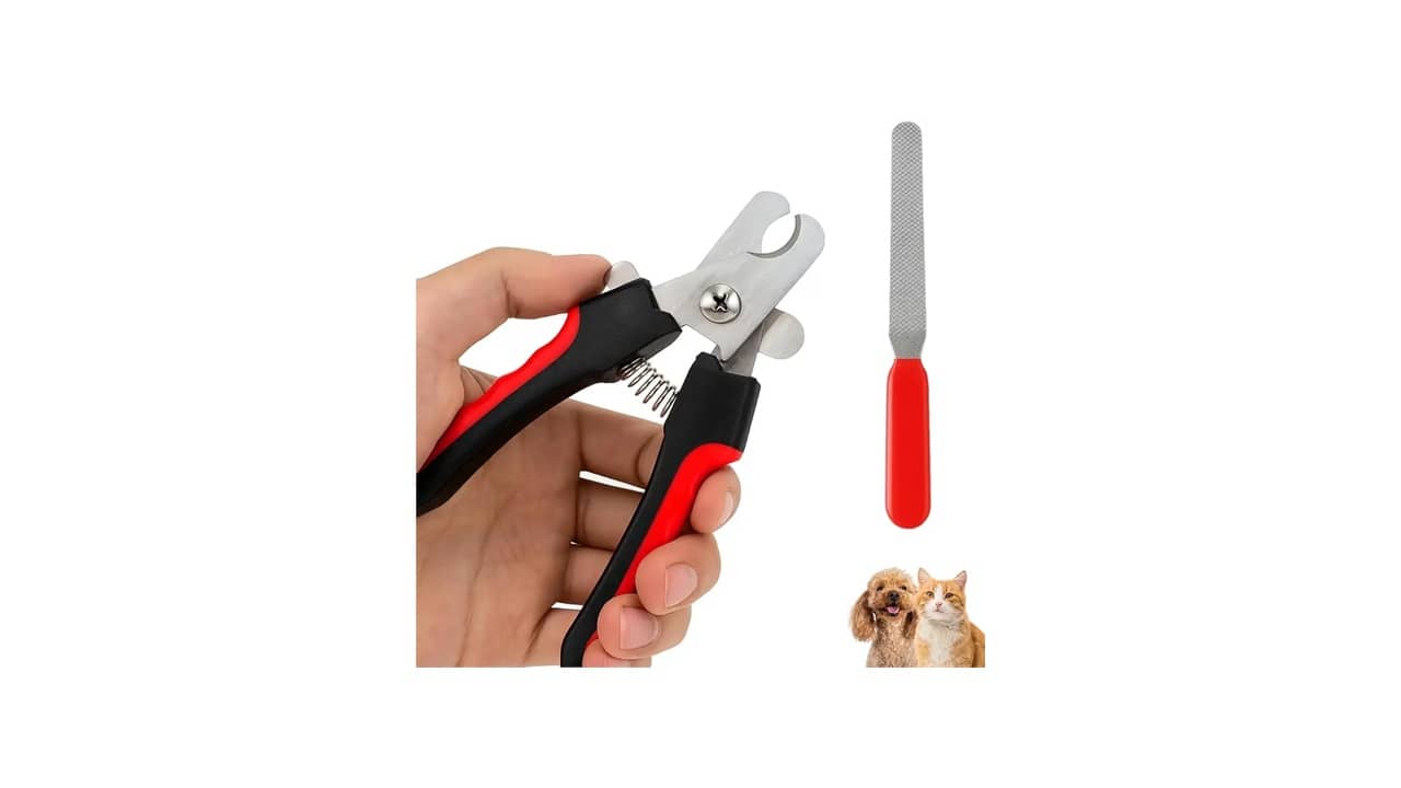 Melhor Cortador de Unha para Cachorro: 10 Modelos de Alta Precisão