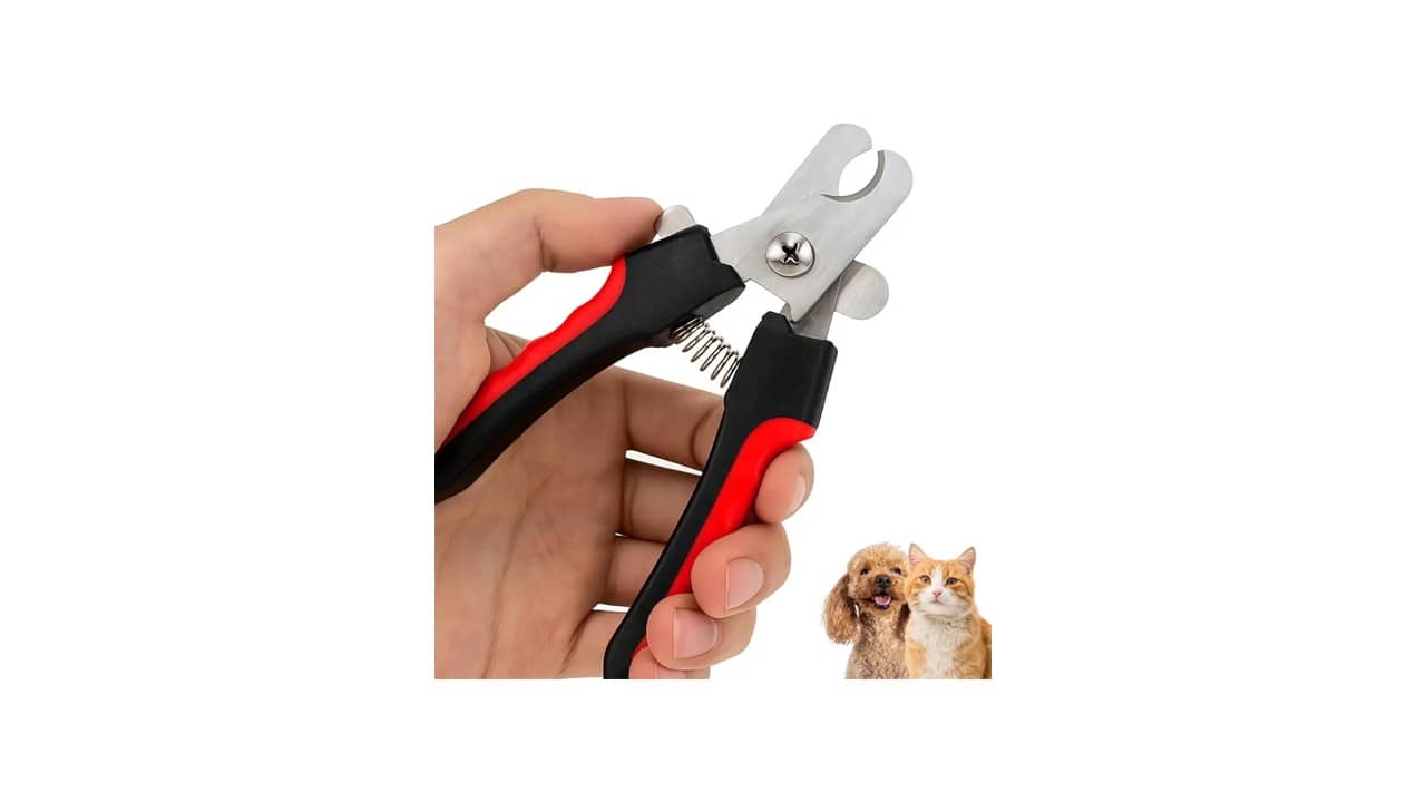 Melhor Cortador de Unha para Gatos: Segurança e Precisão
