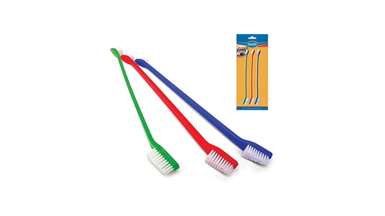 Melhor Escova de dente para Cachorro: Guia Essencial