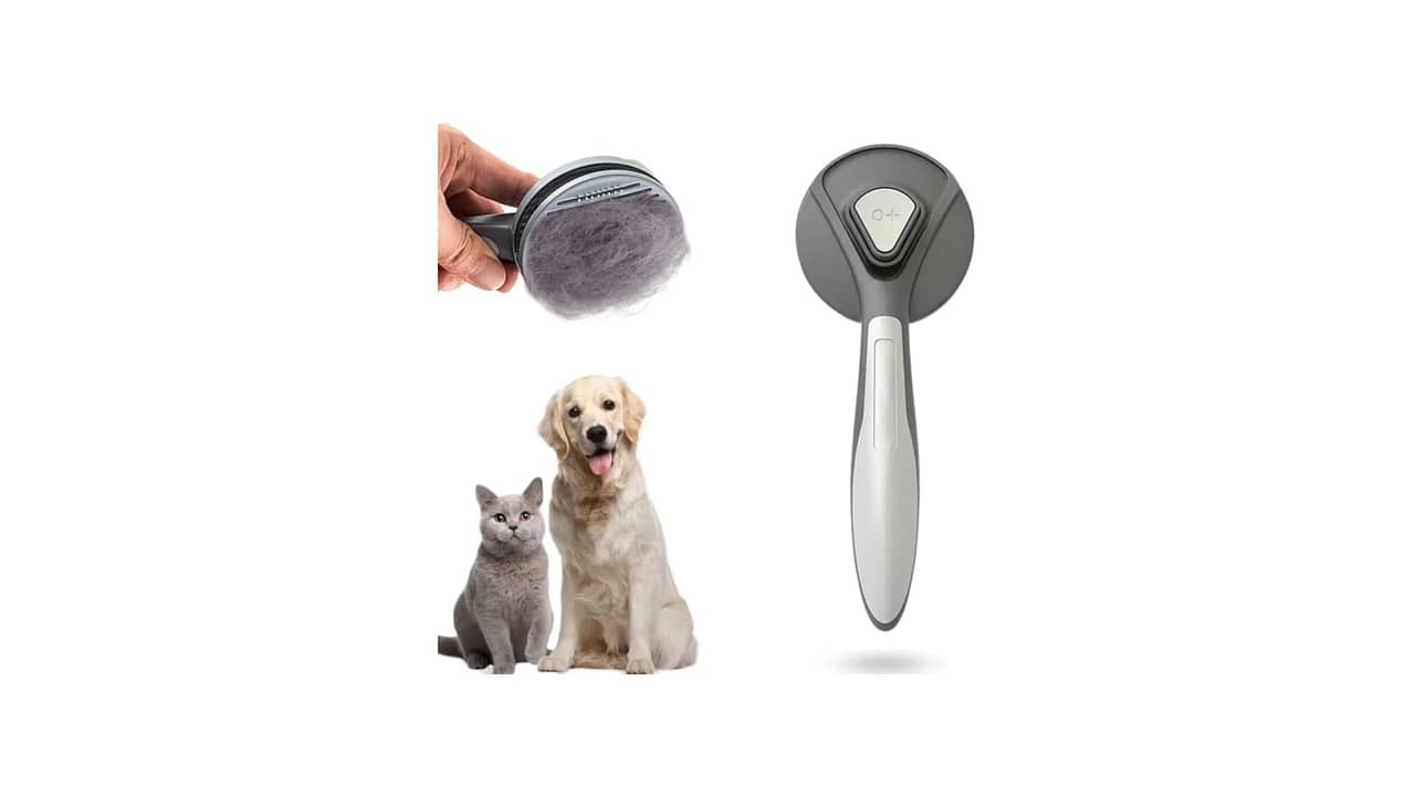 Melhor Escova para Cachorro Pelo Curto: Guia de Compra Essencial