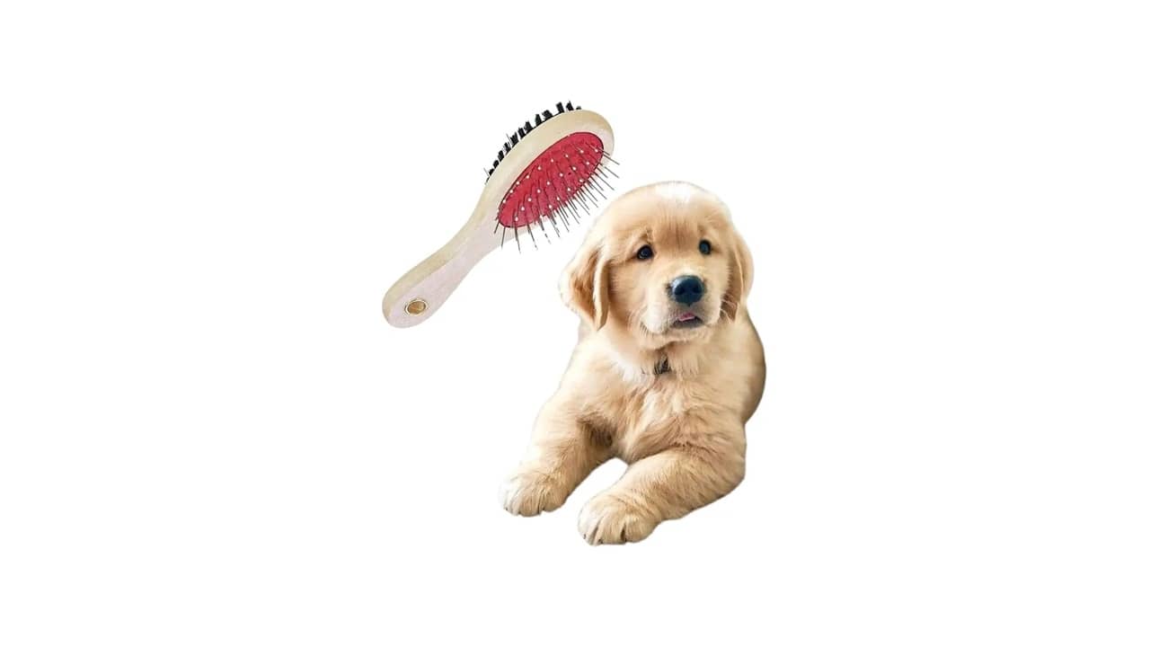 Melhor Escova para desembaraçar Pelo de Cachorro: Encontre a Ideal!