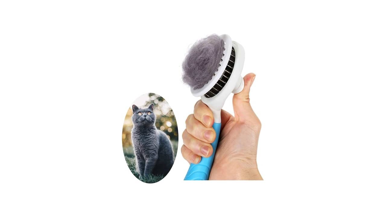 Melhor Escova para Pentear Gatos: Guia Completo e Reviews
