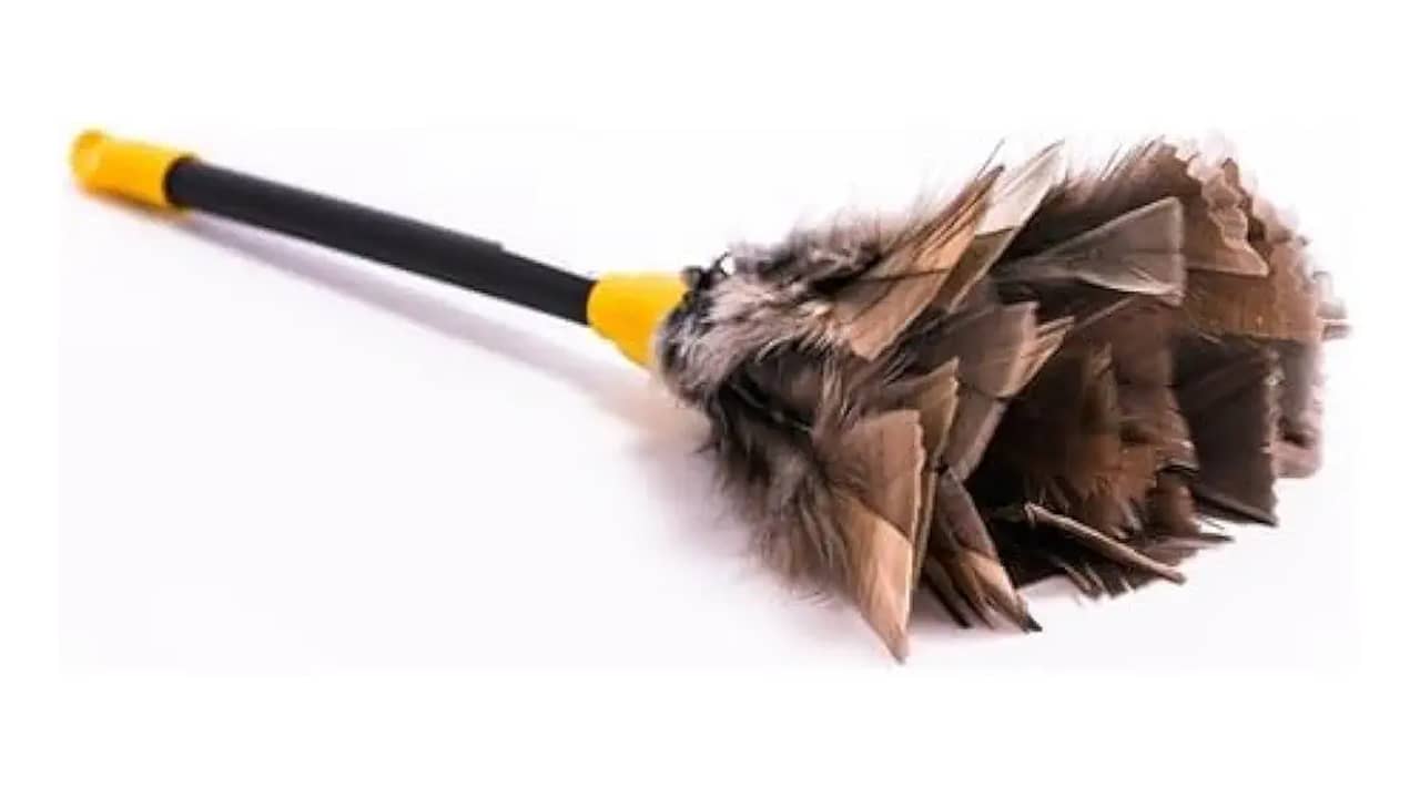 Melhor Espanador para Livros: Penas Naturais vs Microfibra
