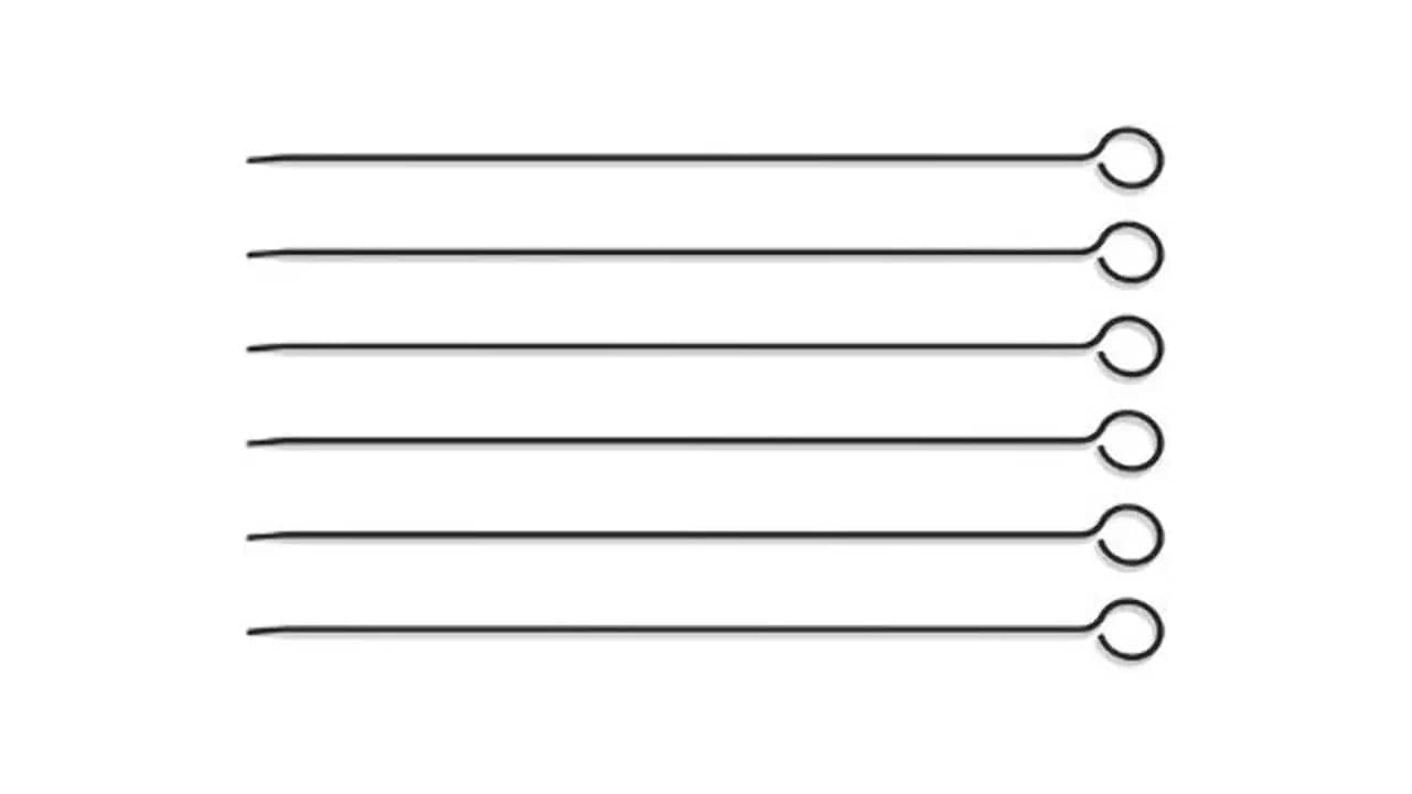 Melhor Espetinho para Churrasco: Guia Completo