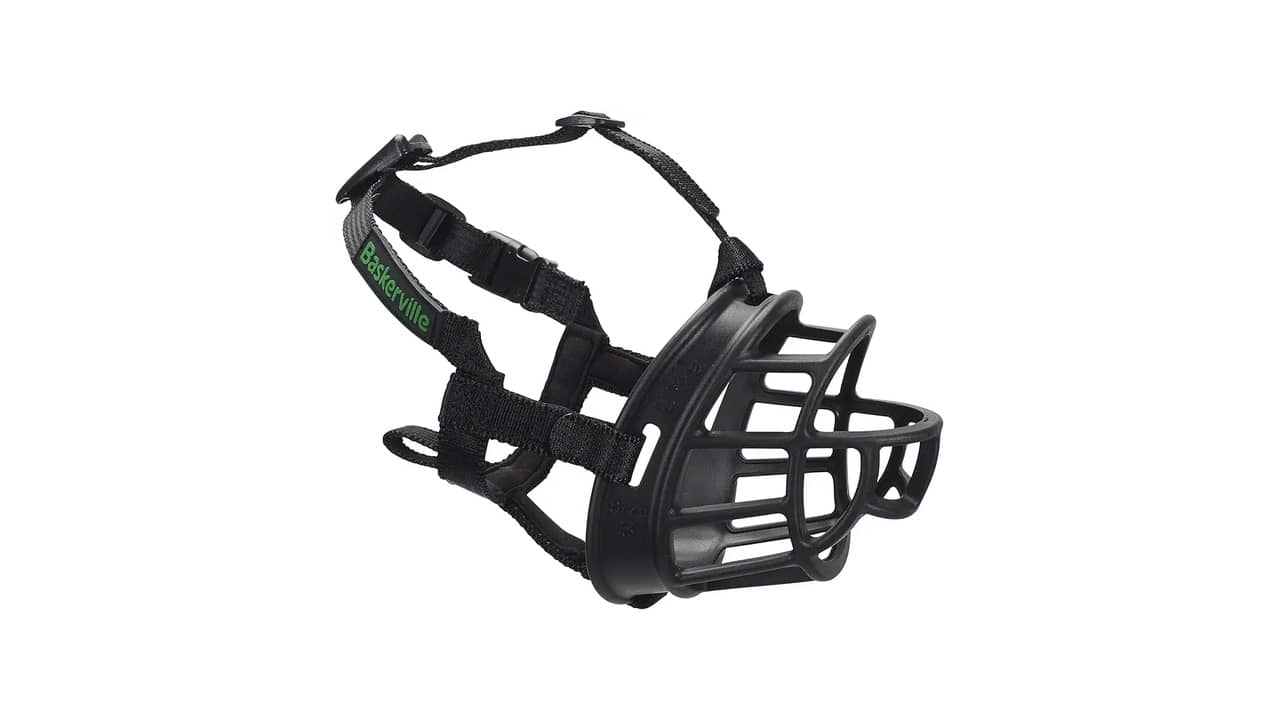 Melhor Focinheira para Border Collie: Guia de Compra Essencial