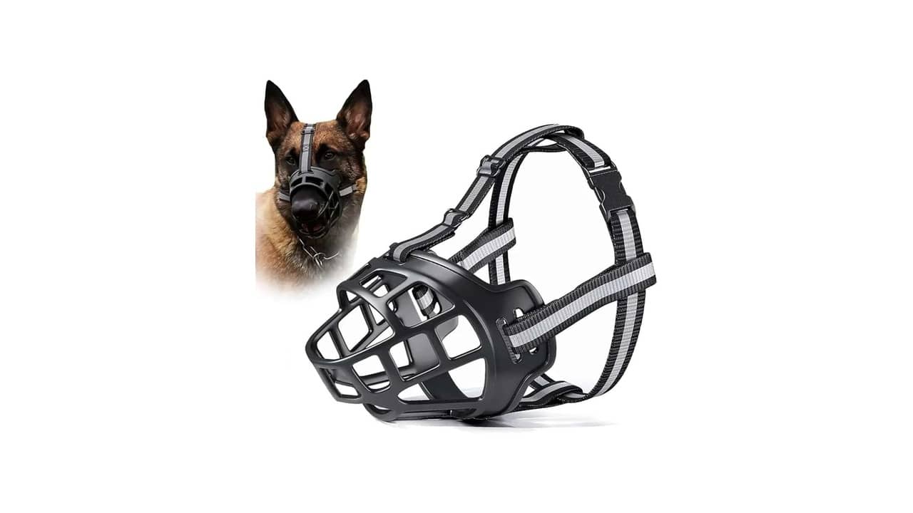 Melhor Focinheira para Cachorro Grande: Conforto e Segurança Garantidos!
