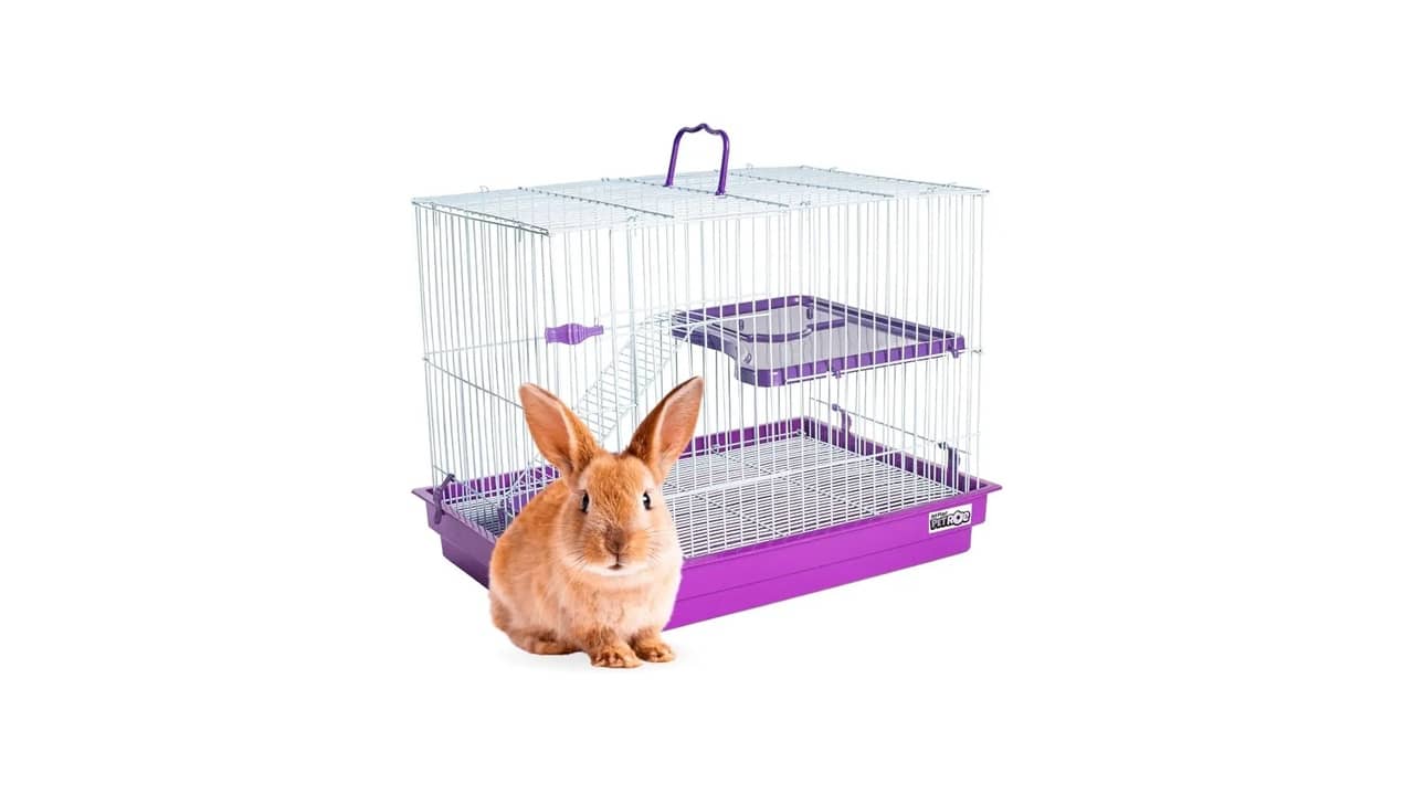 Melhor Gaiola para Coelho: 10 Modelos com Espaço