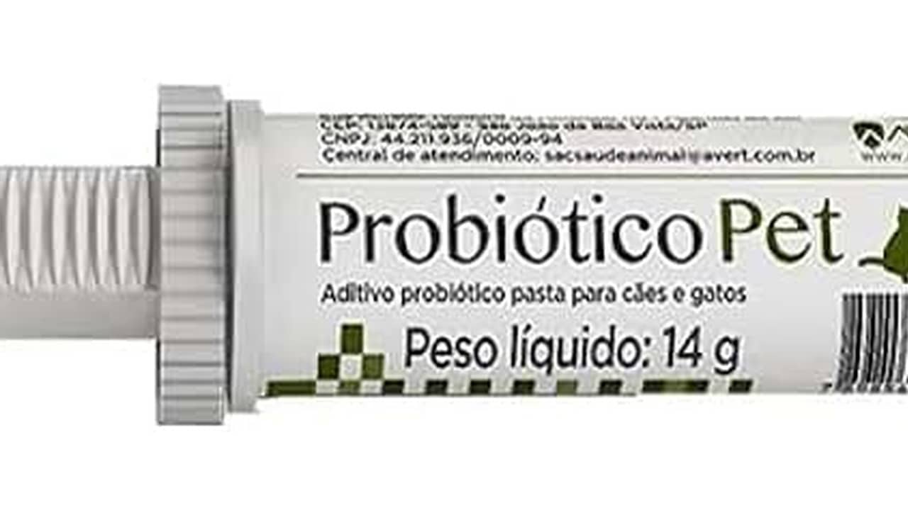 Melhor Horario para dar Probiotico para Cachorro: Guia Completo