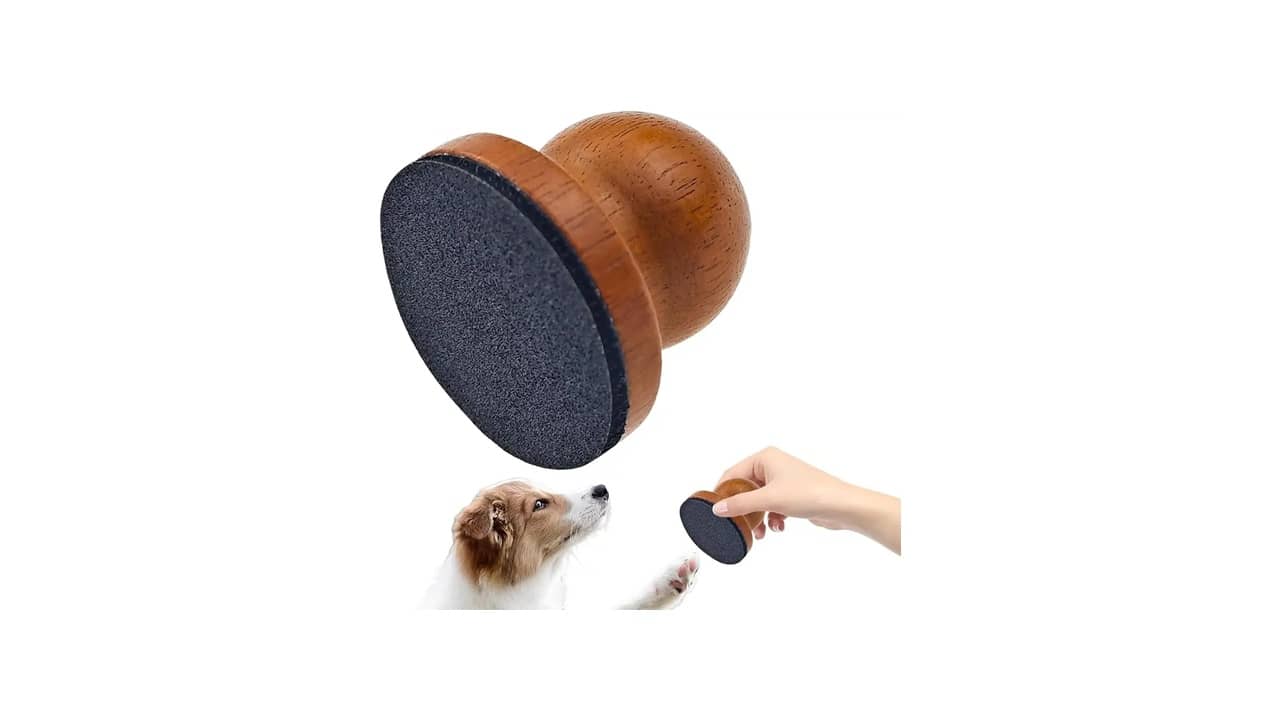 Melhor Lixa de Unha para Cachorro: Guia Completo