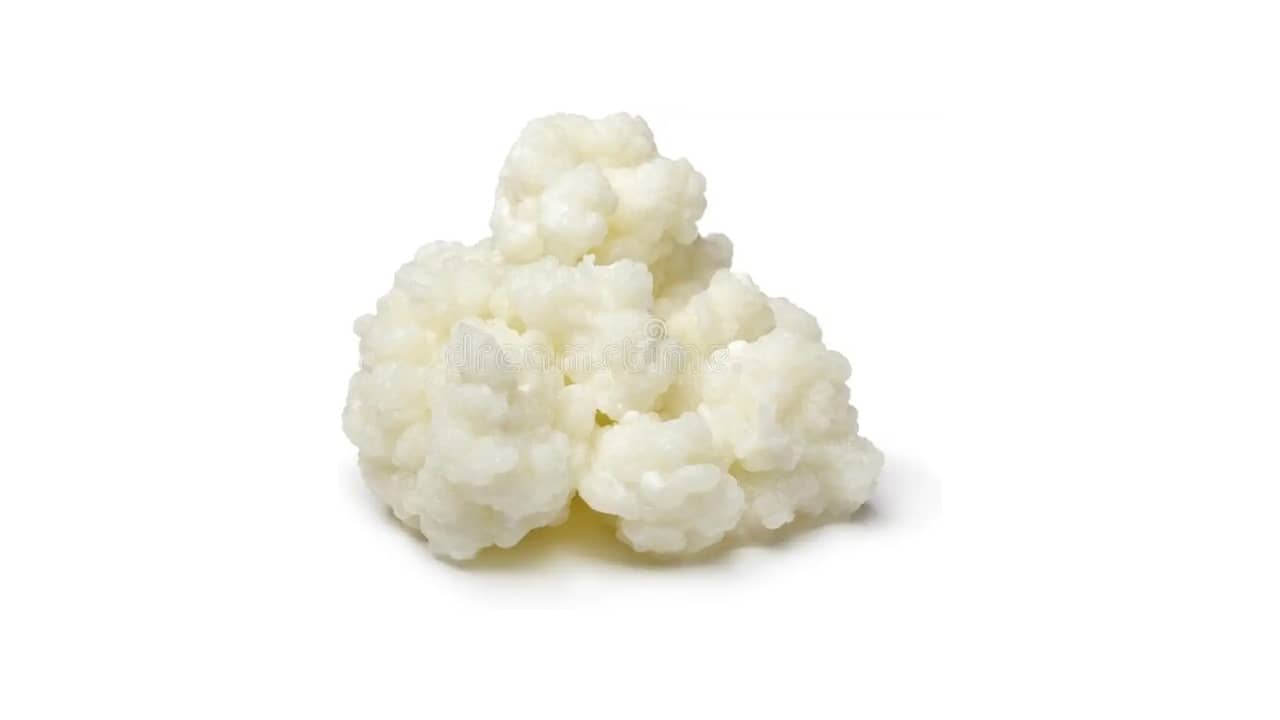 Melhor Marca de Leite para Kefir: Guia Essencial