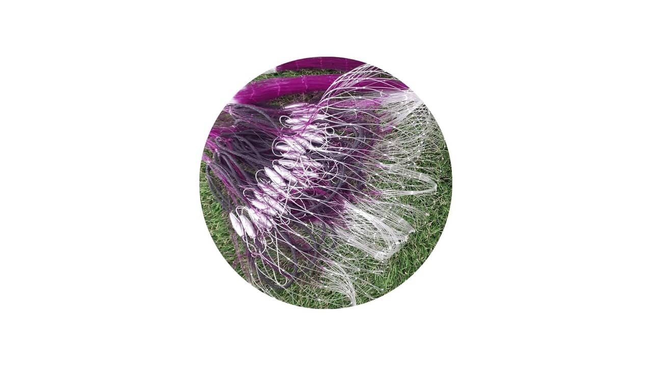 Melhor Massa para Pescar Curimba: Guia Completo