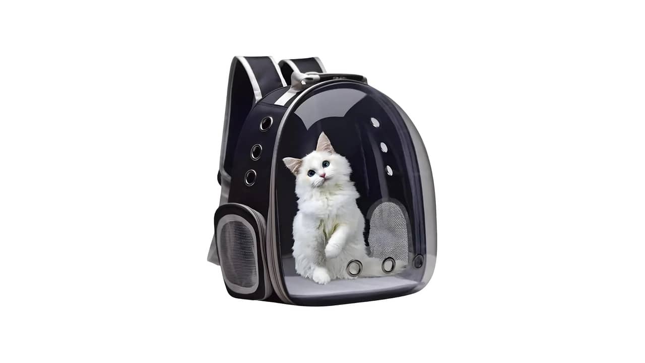 Melhor Mochila Transparente para Gato: 10 Modelos