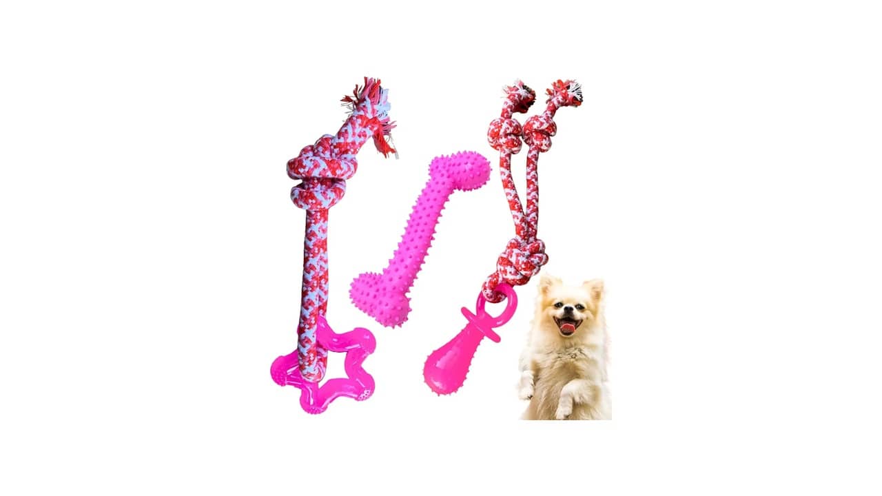 Melhor Mordedor para Cachorro Filhote: Segurança e Diversão