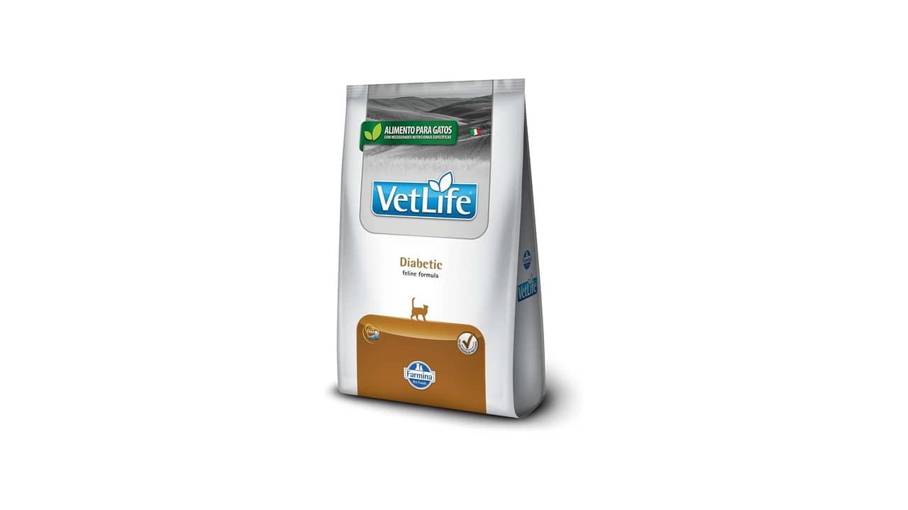 Melhor Ração para Gatos Diabetes: Guia Completo