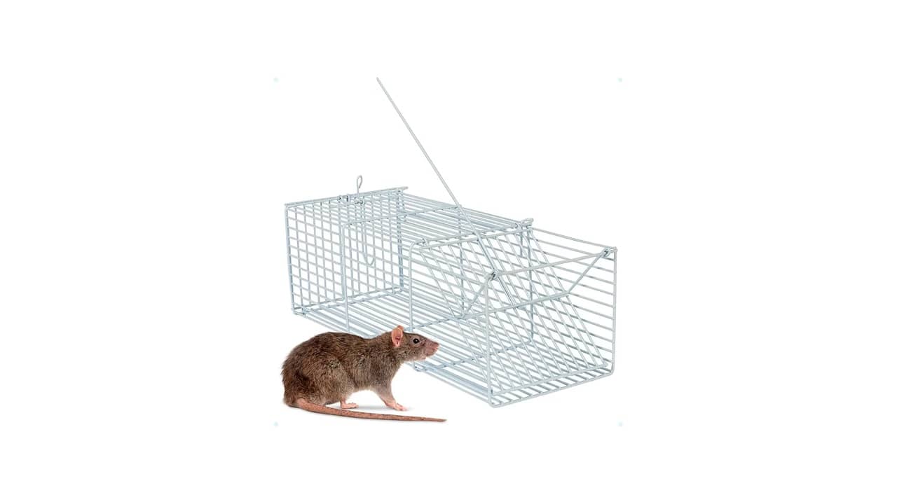 Melhor Ratoeira do Mundo: Guia Completo para Captura Eficaz