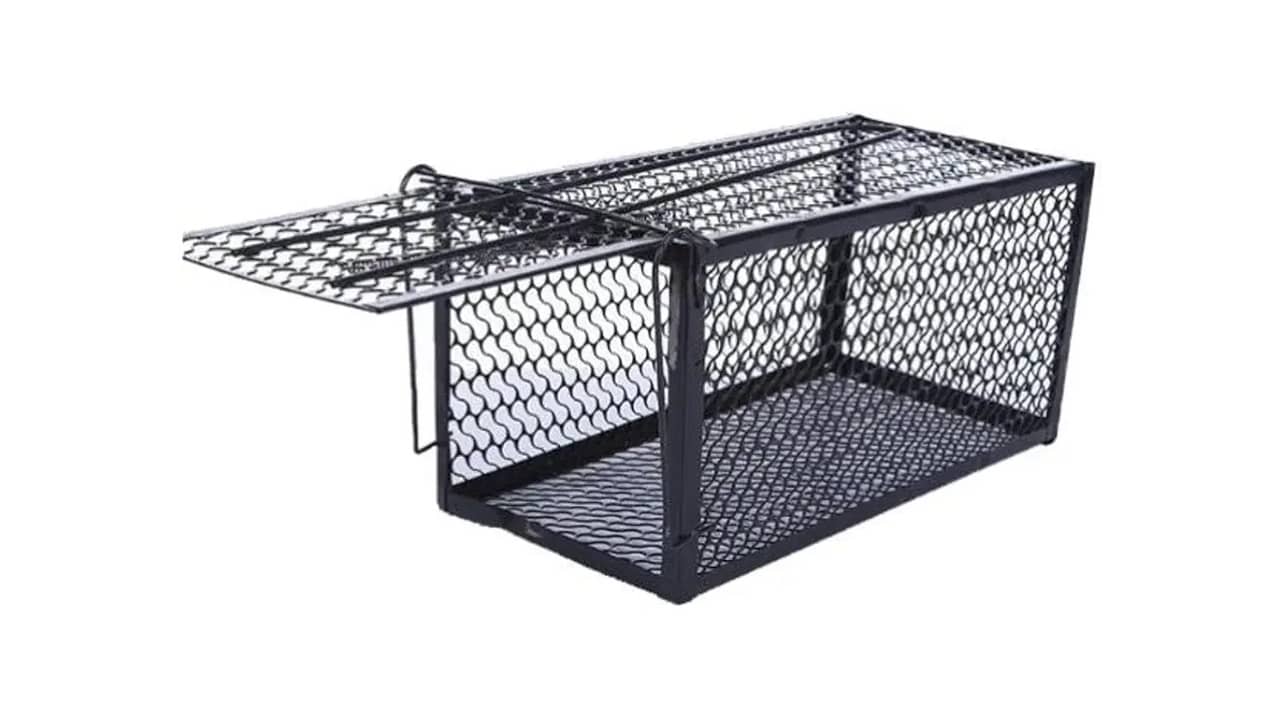 Melhor Ratoeira para Ratos Grandes: Captura Eficiente e Segura
